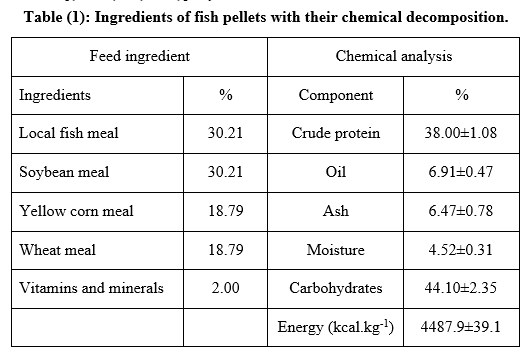 Comparison of Growth for Cultivated Common carp, Cyprinus carpio Larvae between Earthen Ponds and Recirculation Aquaculture System | Basrah J. Agric. Sci. bjas.bajas.edu.iq/index.php/bjas…