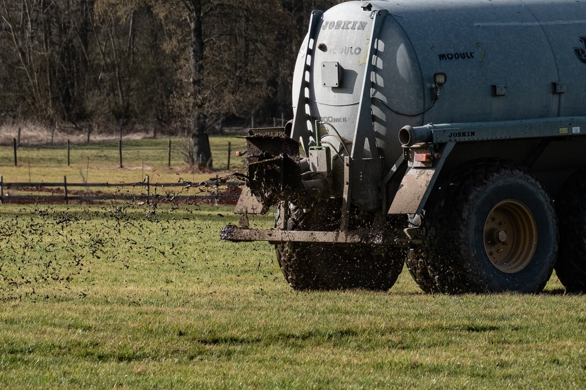 xandra_photo's tweet image. The #stinking meadows
The #scent ... of #agriculture
A #farmer distributes #manure in a #meadow