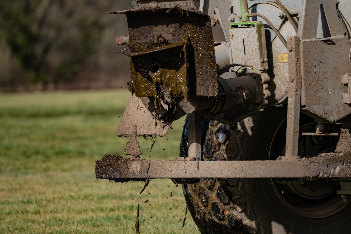xandra_photo's tweet image. The #stinking meadows
The #scent ... of #agriculture
A #farmer distributes #manure in a #meadow