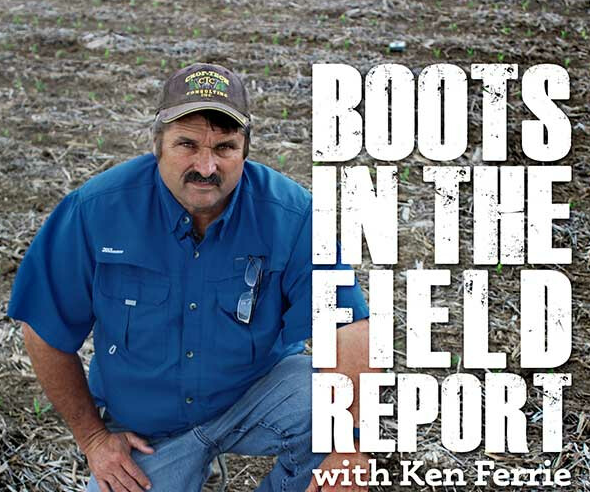 FarmJournal's tweet photo. In this week’s Boots In The Field report, Farm Journal Field Agronomist Ken #Ferrie provides some insights on which #corn and #soybean seed tests could be most useful to farmers, heading into spring. https://t.co/4T8xlcK86A https://t.co/GGxhFX8qRP