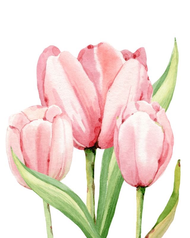 mytravel_goals's tweet photo. I keep repeating this to myself ๐ผ๐ธ #winterblues #imoverwinter #springtime https://t.co/Cshq7ERSDU