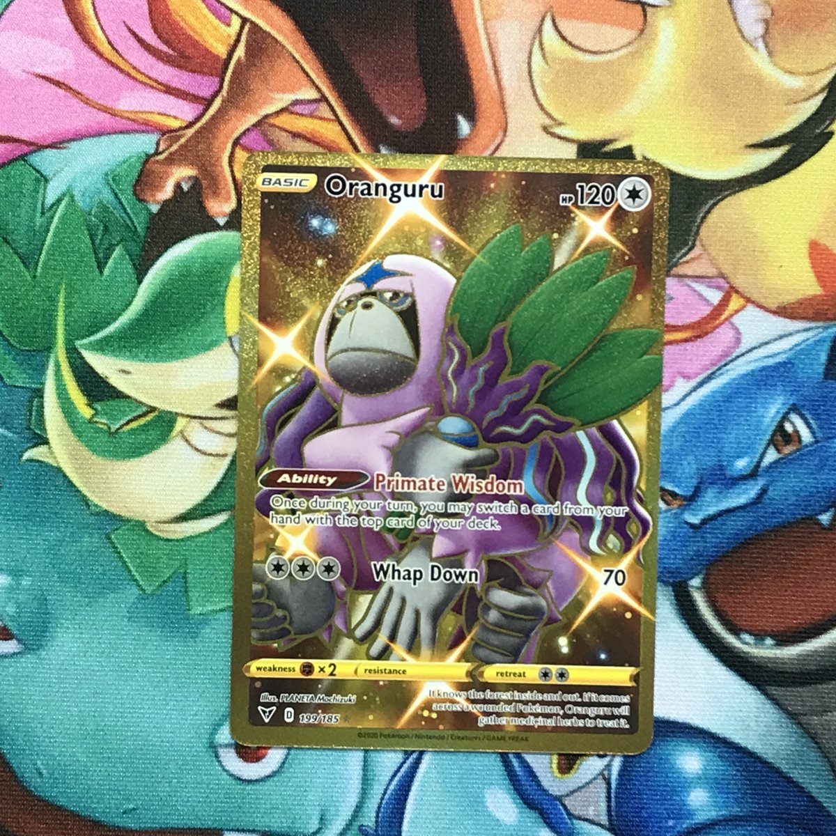 Shiny Golden Monkey! Such a beautiful card, and I am so happy to have this  in my personal collection  #pokemon #pokemonart #pokemoncard #Shiny  #ShinyLuck #VividVoltage #GoldCard #Oranguru #ShinyMonkey
