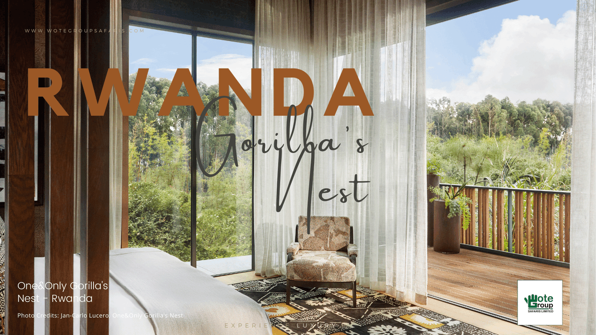 wotegroup's tweet photo. This is one experience we'd urge any traveler with a pallet for discerning signature experiences to check off their bucket-list.

Immerse yourself in the raw beauty and drama of #Rwanda 😍

Let's plan!

/ © One&amp;Only Gorilla's Nest

#Africa #LuxuryTraveller #AfricaSafari https://t.co/V2BKlBqxIz