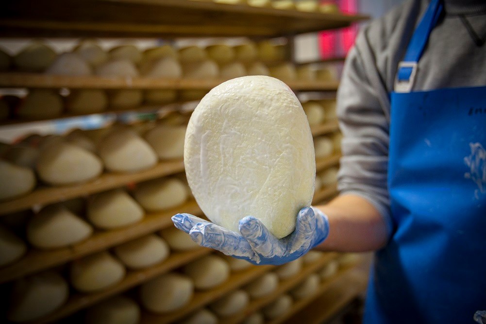 Per fare un grande formaggio la qualità della materia prima è fondamentale, ma non basta. 🥛
Per fare un grande formaggio occorre curare ogni dettaglio, in ogni fase del processo di caseificazione. 🧡
#ilfiorino #solocosebuone