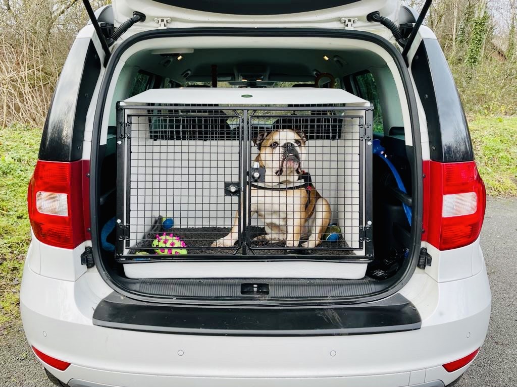 lintranK9Ltd's tweet photo. New dog box for this cheeky chap in his #skoda #yeti #DB3dogbox , helping to keep car nice and clean!
#dogtransport #dogboxes #dogcrate #safe #cool #no1dogbox #dogsoftwitter https://t.co/6r2uryYlq9