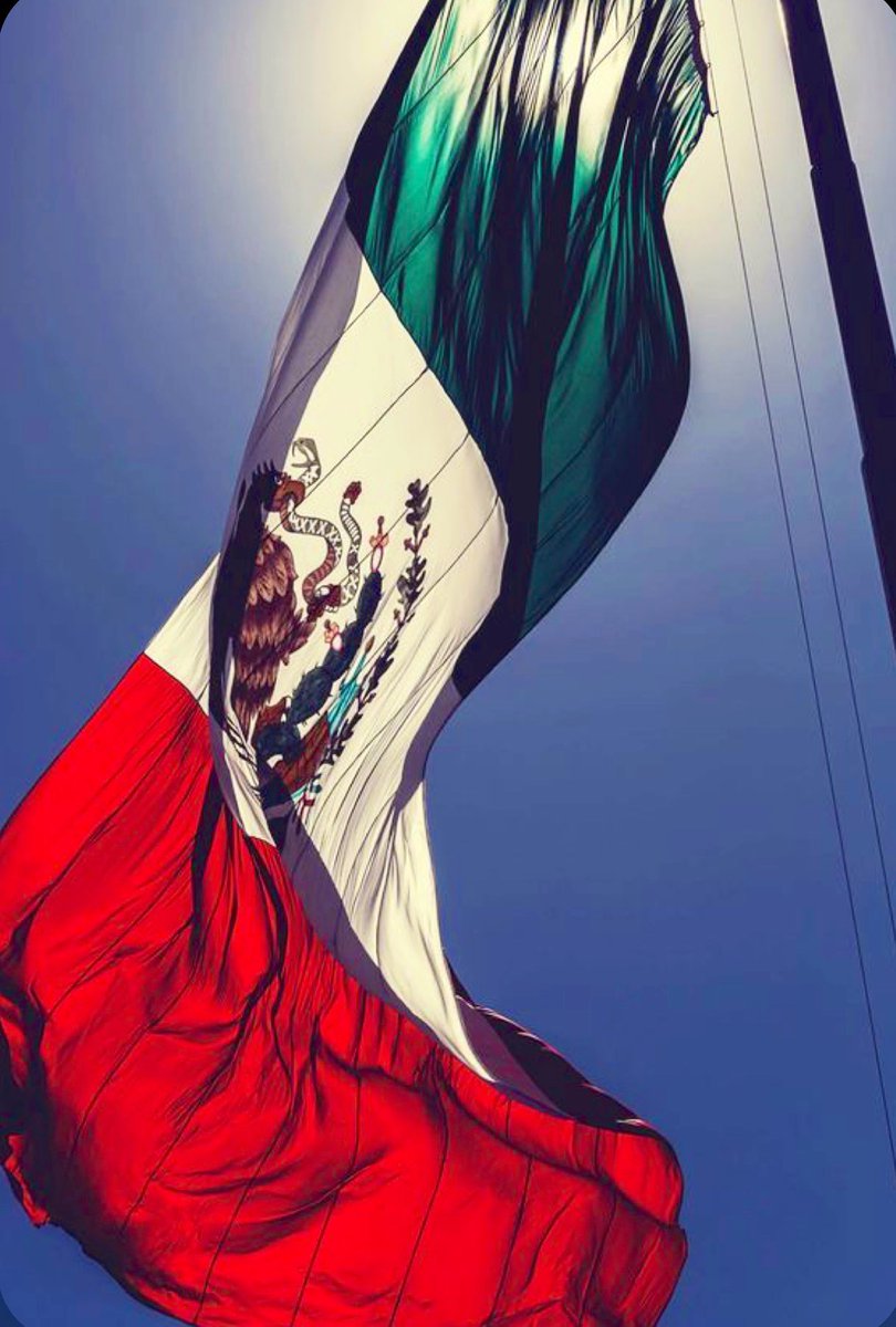 raulcotamu's tweet photo. #24deFebrero Con respeto y orgullo a uno de nuestros símbolos patrios. 

Hoy celebramos a la #BanderadeMéxico 🇲🇽 https://t.co/Vyo00PgHuY