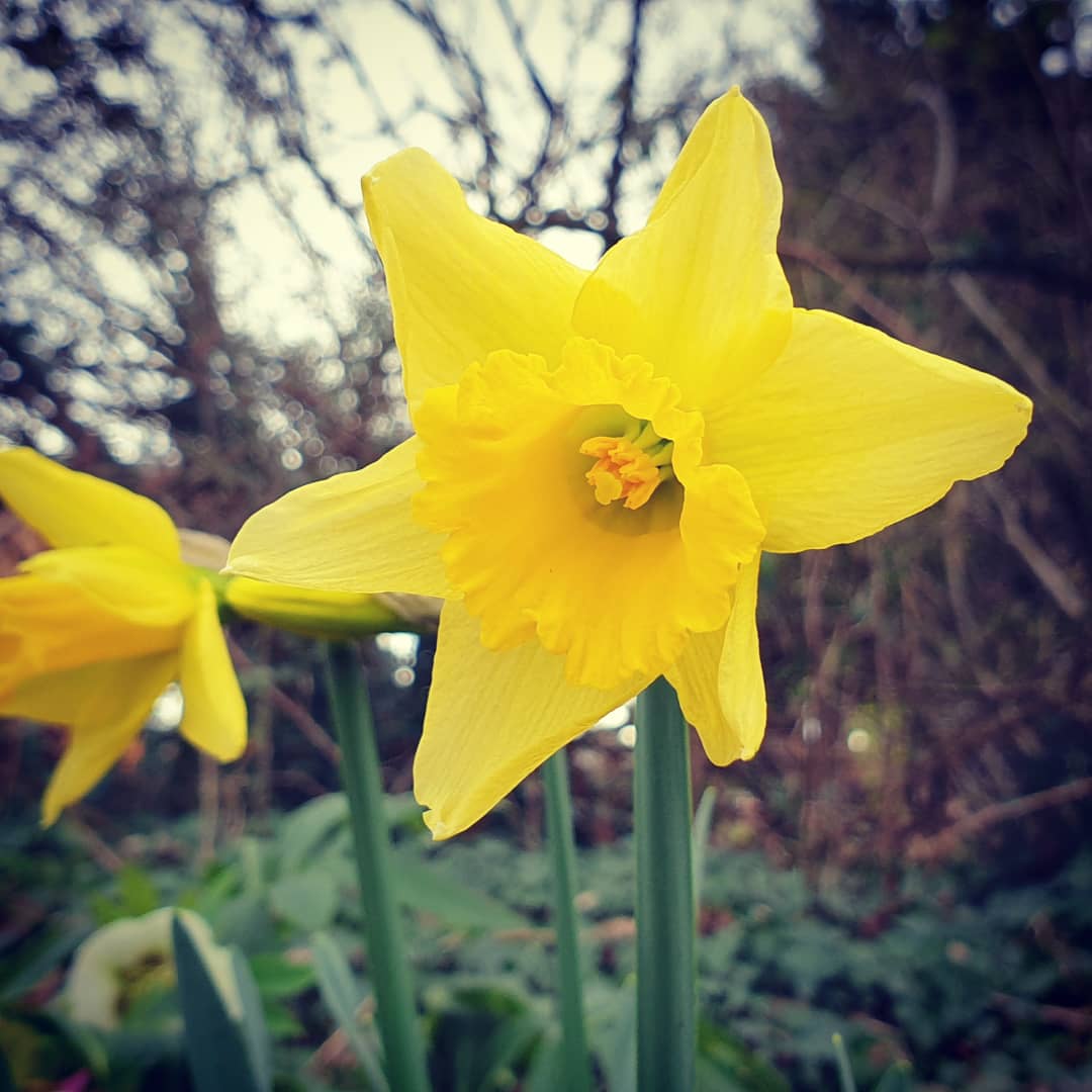 There was definitely an hint of spring in the air today.