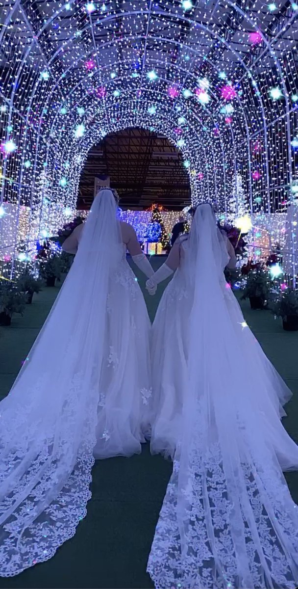 Glow Halifax tweet media