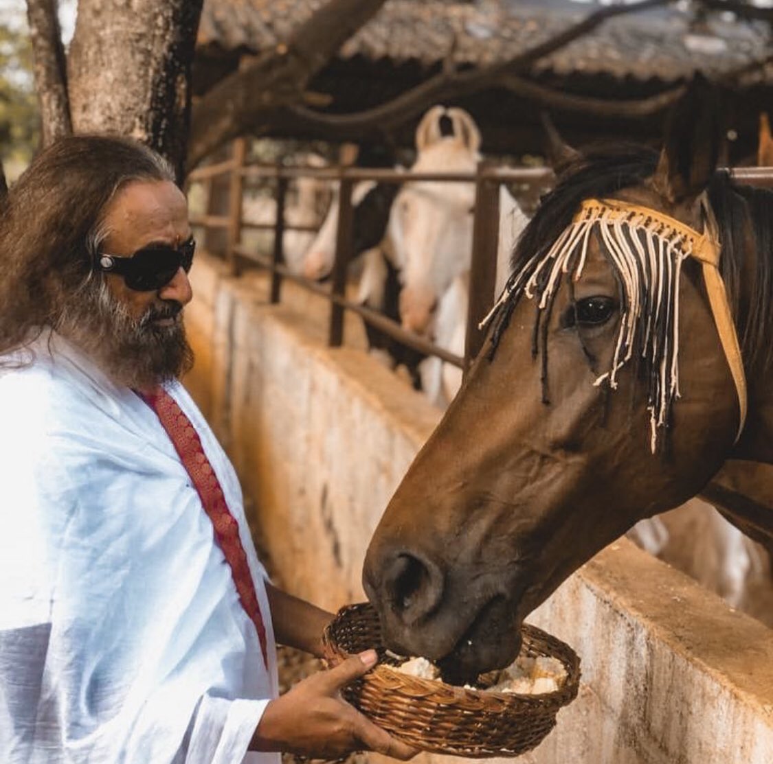 Gurudev's tweet photo. Desires are like horses. As long as you are in control, it's fine. But desires shouldn't ride you. Keep the leash of your desires with you. https://t.co/8kMXV4ASIr