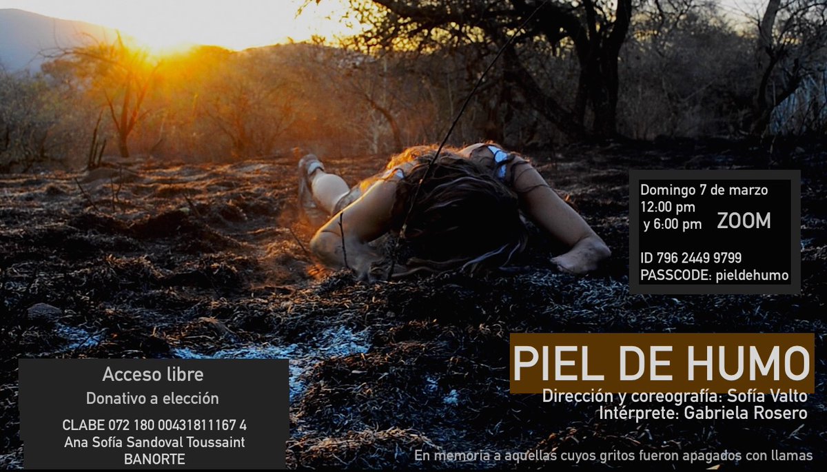 ValtoDanza's tweet photo. Piel de humo. 
Domingo 7 de marzo 12:00 y 6:00 pm, transmisión por zoom.
Dirección: Sofía Valto
Intérprete: Gabriela Rosero https://t.co/ixs0jCoQgJ