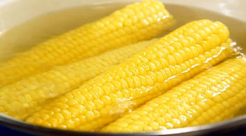 viviane_food's tweet photo. hello les #tgtwittos vous préférez manger votre mais plus bouilli ou grillé ? 
1 : Like  ou 2 : Retweet 

#team228 https://t.co/hdFOjmPLVg