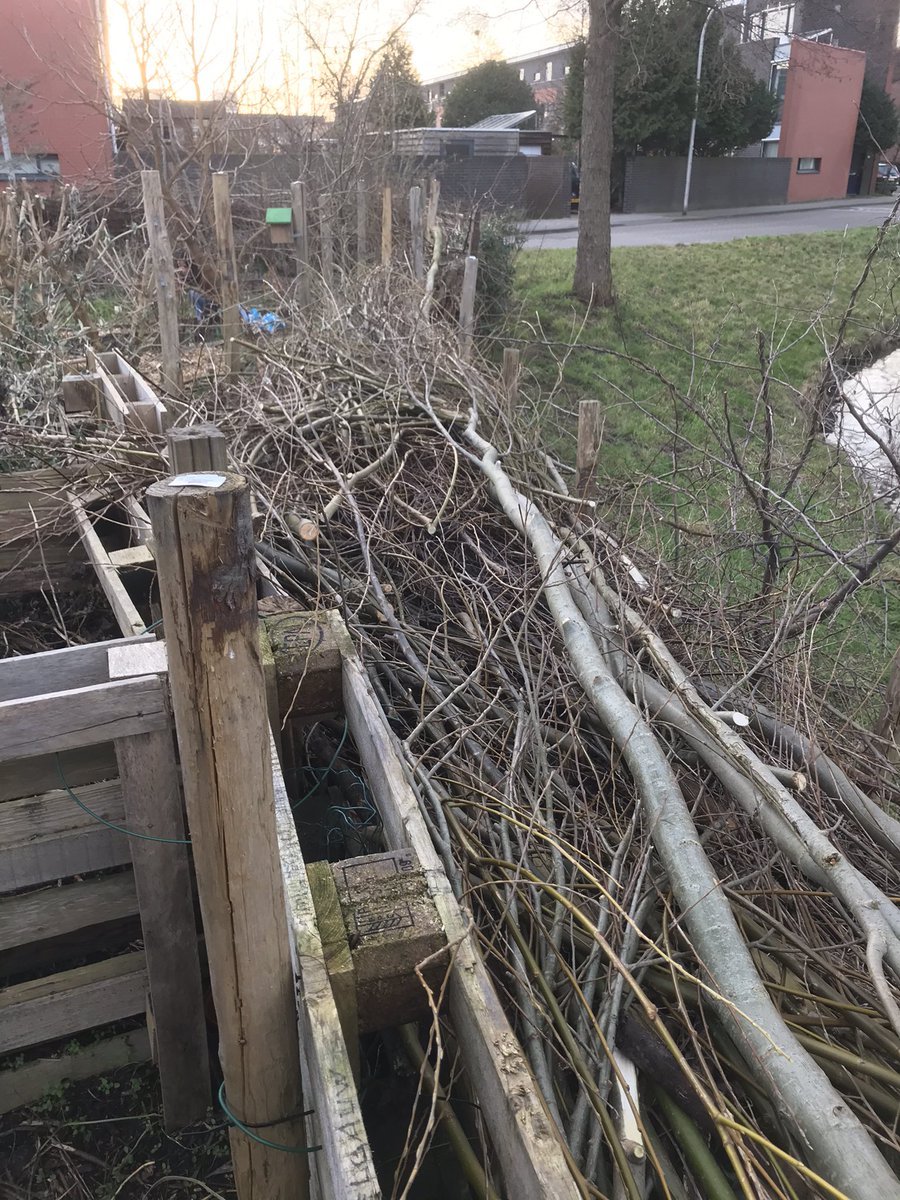 Buurttuin Delfgauw tweet media