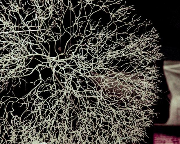 📢 sauvez la date du 21 mai !!!
La cousinade territoriale #LaGirondeSInvente explorera les principes du vivant pour régénérer les liens de coopération.
🌍💃🌳🕺🐜💡
#biometisme #vivant #vivants #cooperation #synergies #symbioses #stigmergie #regeneration 
Image @mdc_confluences