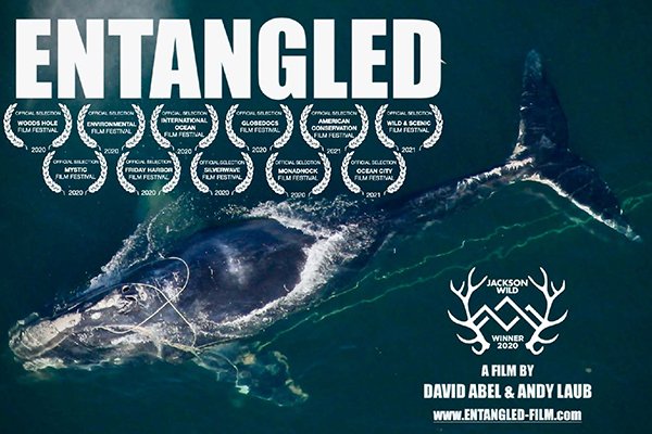 HUCEnvironment's tweet photo. WED MAR 3 | Join HUCE for a screening and discussion of @EntangledFilm with @davabel, Filmmaker &amp; Pulitzer Prize-winning journalist @BostonGlobe; Jeremy Jackson @Scripps_Ocean; and Kelly Kryc @NEAQ. Registration required >> https://t.co/xrL5oQvCQ8 https://t.co/PeI5wcIKyD