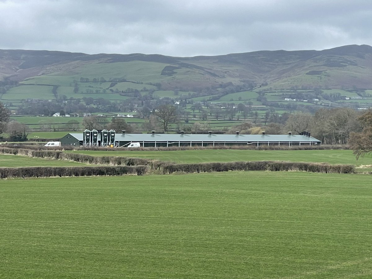 Jim Turner tweet media