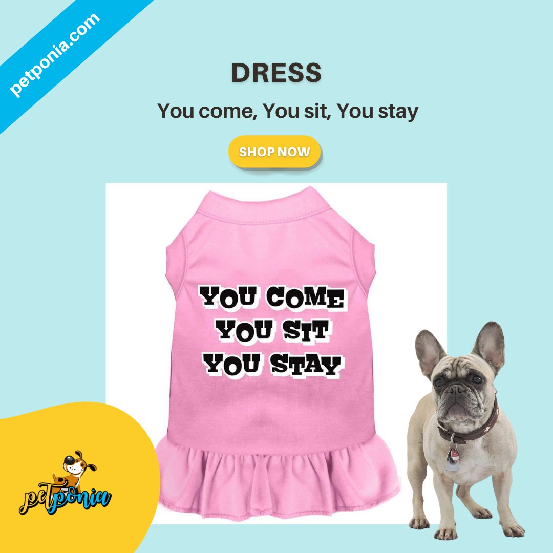 PetPonia's tweet photo. Let these statement dresses best describe your fur baby. Available in sizes XS-6XL. Shop them now at https://t.co/i0dAYD9bJm.
#petponia #dogshirt #dogshirts #statementshirts #dogclothes #dogclothesforsale #muttlove #cooldog #doghoodies #dogdress #dogdresses #smallbrands https://t.co/t3sxXT6kY7