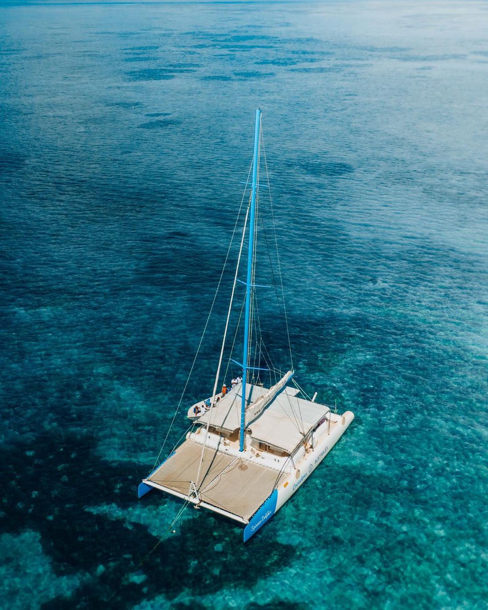 mon_ilemaurice's tweet photo. Une escapade en catamaran est l’activité parfaite pour découvrir les côtes mauriciennes depuis l’océan ⛵
#ilemaurice #monilemaurice #mauritiusNOW
📸 @gossbrothers https://t.co/LfNgPPRqRL