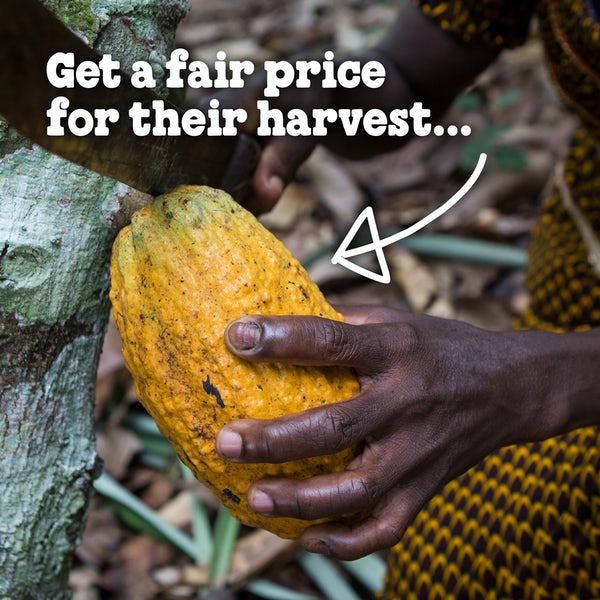 benjerrynh's tweet image. #Fairprices for #farmers that invest back into their #communities? Sounds pretty sweet to us.
Click here to learn more about our #fairtrade efforts: benjerry.com/values/issues-…
#fairtrade #benandjerrys