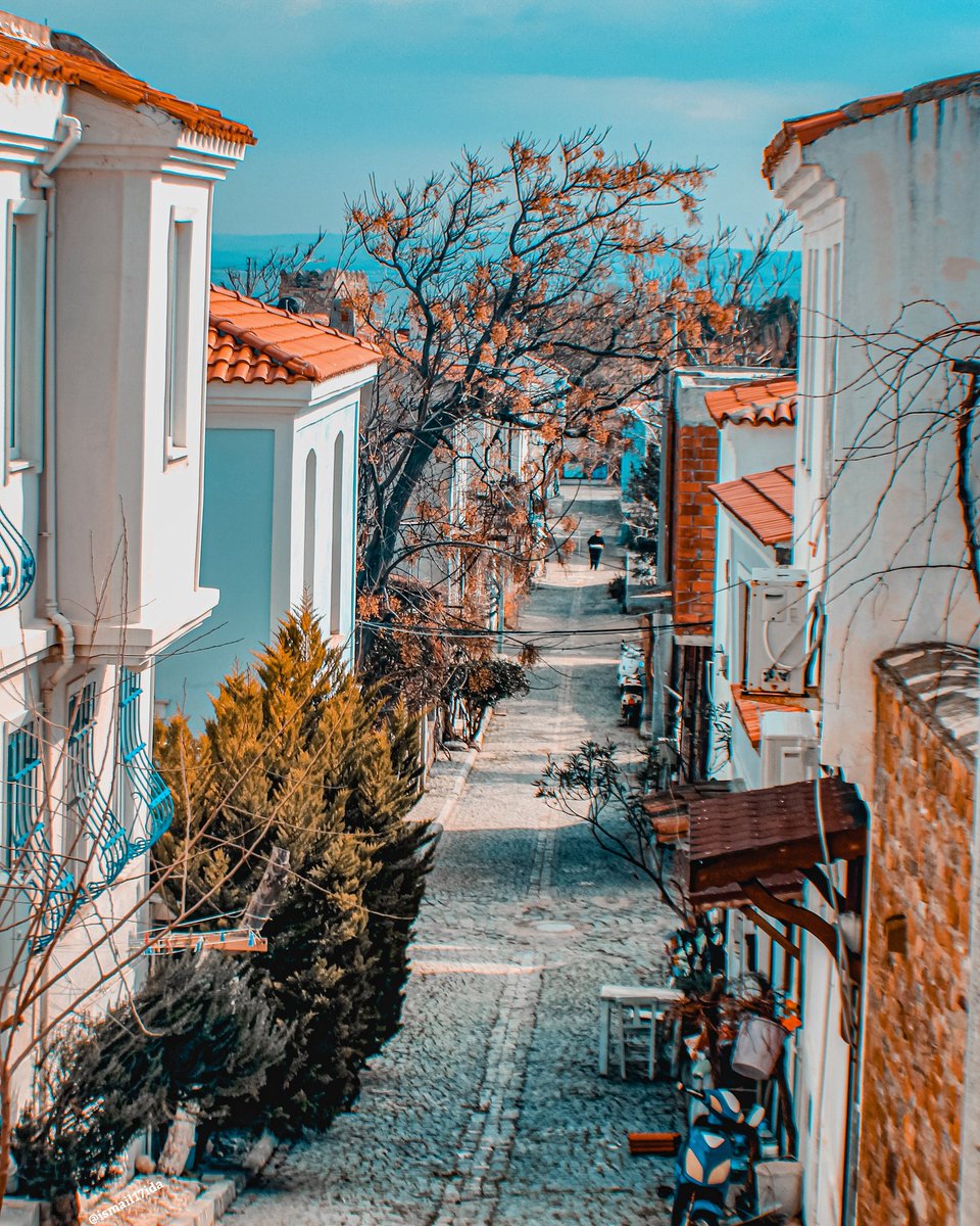 📍#Bozcaada #Çanakkale #Tenedos #Canakkale #sehir #canon60d #sokakta
#Türkiye #anadolugram #turkey_home #comeseeturkey #manzara #fotografsevenler #sokak #street #dardanel #mavili https://t.co/6DIGVStesG