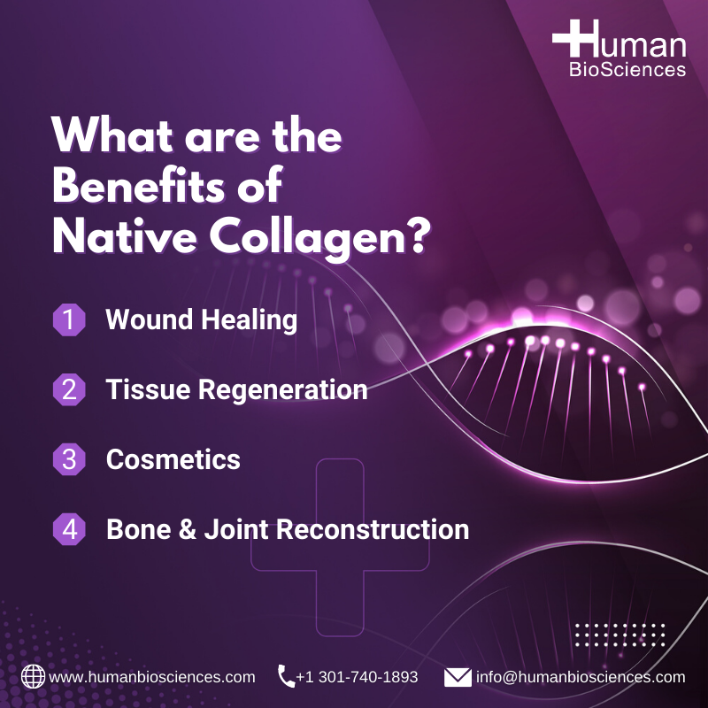 BiosciencesInc's tweet photo. Human BioSciences is a proud USA manufacturer of private label and brand name native collagen-based products. To learn more, visit us at https://t.co/qQwpAWWIvR #nativecollagen #USAmanufacturer #privatelabel #brandname #humanbiosciences https://t.co/Y6DxTahCx8