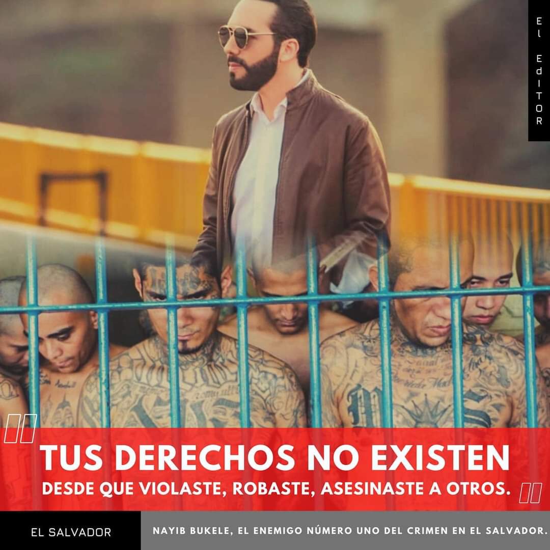Alexander Moreira tweet media