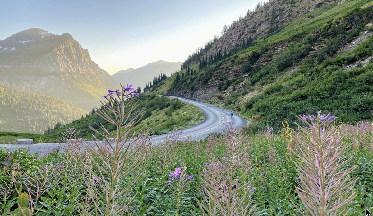 Looking for a summer adventure?  We've got you covered, a few spots opened in our Glacier Road cycling trip this June.
thecyclinghouse.com/trip/glacier-n…
