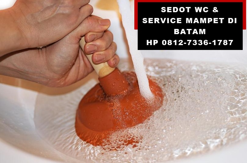 MotivatorProf's tweet image. 0812-7336-1787 Sedot Tinja Anti Mampet di Batam 

sedotinja-batam.blogspot.com/2019/08/dengan…
#Nagoya #Tiban #Punggur #BatuAji #Sekupang #Sagulung #Bengkong #SedotWCBatam #Batam #SedotTinjaBatam #ServisMampetBatam #AntiMampetBatam #TinjaBatam #WCBatam #BebaskanIBHRS #KebakaranJenggot #TokopediaWIB