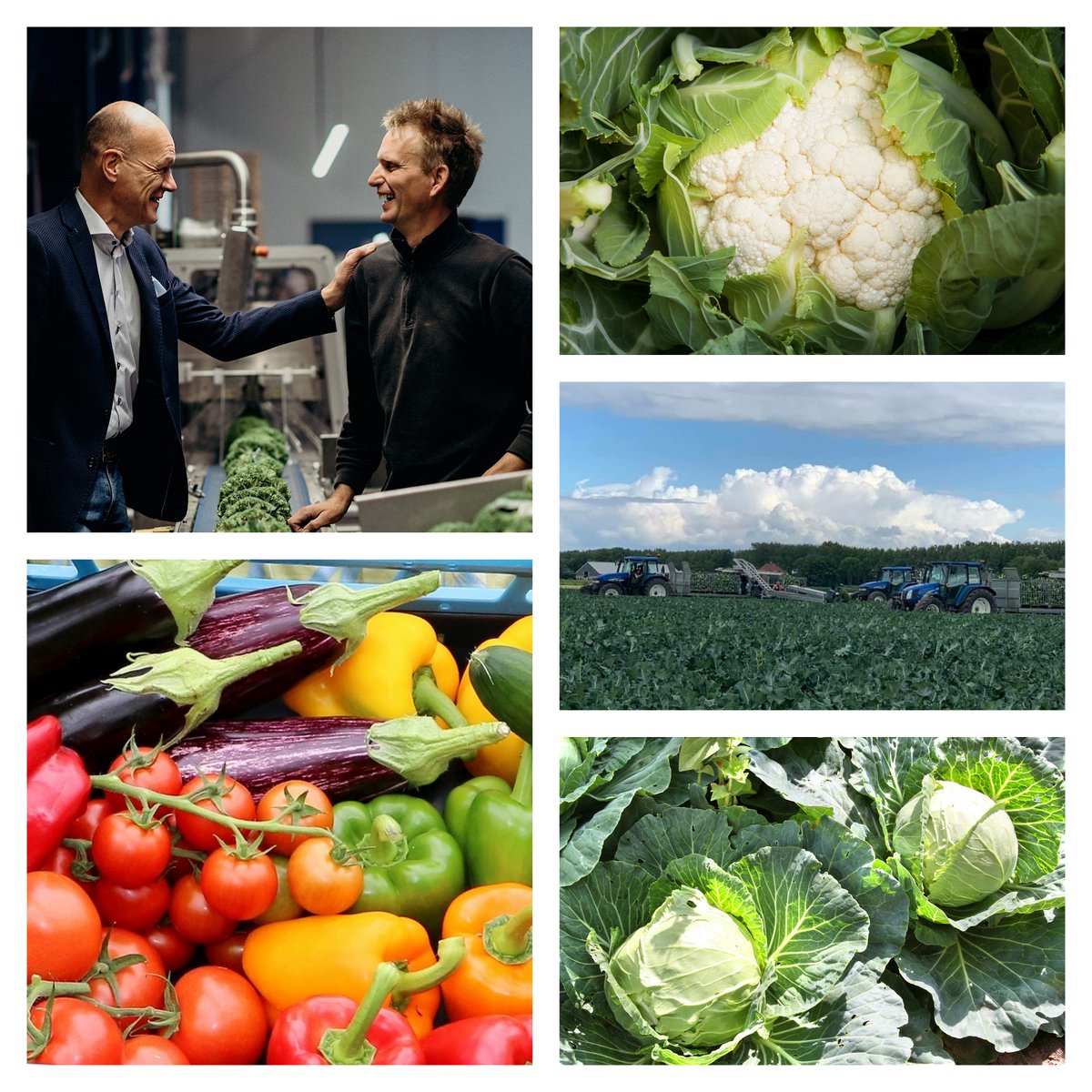 Oxin Growers tweet media