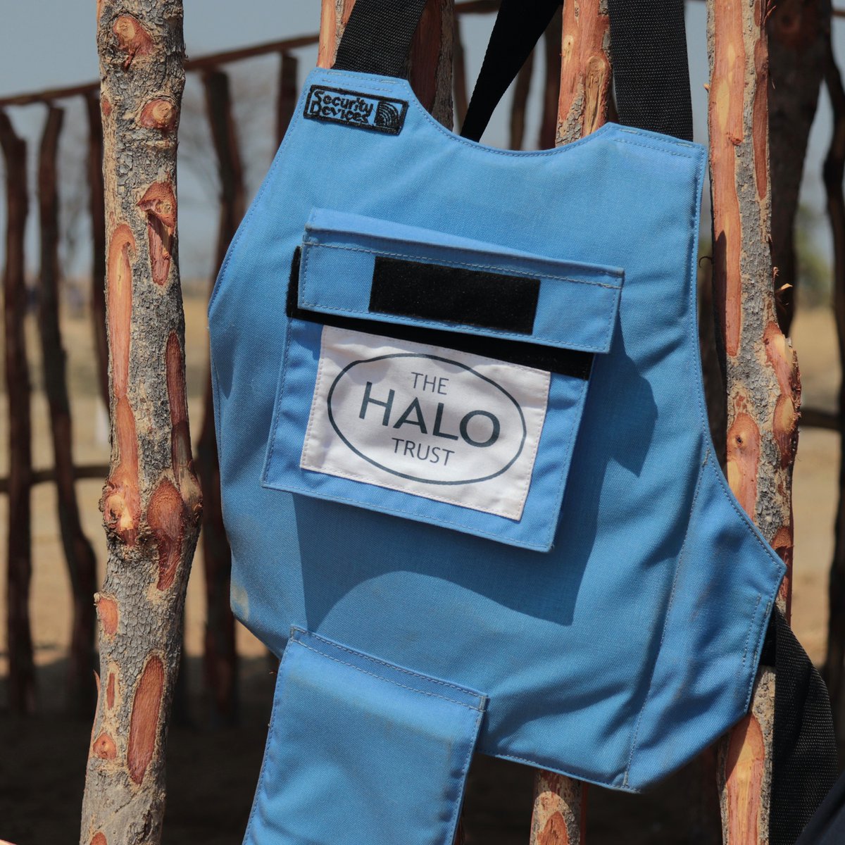 The HALO Trust tweet media