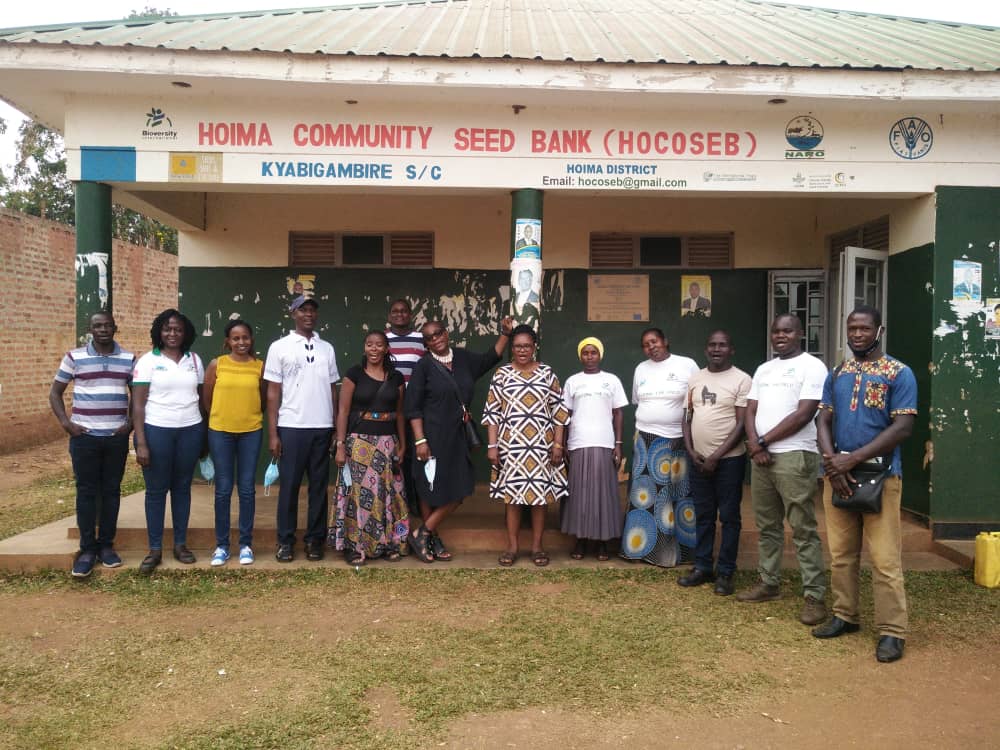 In the company of our @BiovIntCIAT_eng MD Africa- Suzanne Ngo-Eyok, we were able to participate in a seed fair in #Hoima organised by our own scientists Gloria Otieno and Tobias Recha. We also visited the Hoima community seed bank.Great Experience!!! #CCAFS #biodiversity #ITPGRFA