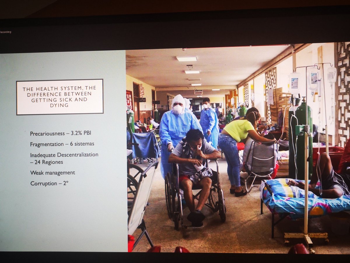 Elaine C Flores Eng/Spa 🍉✨ tweet media