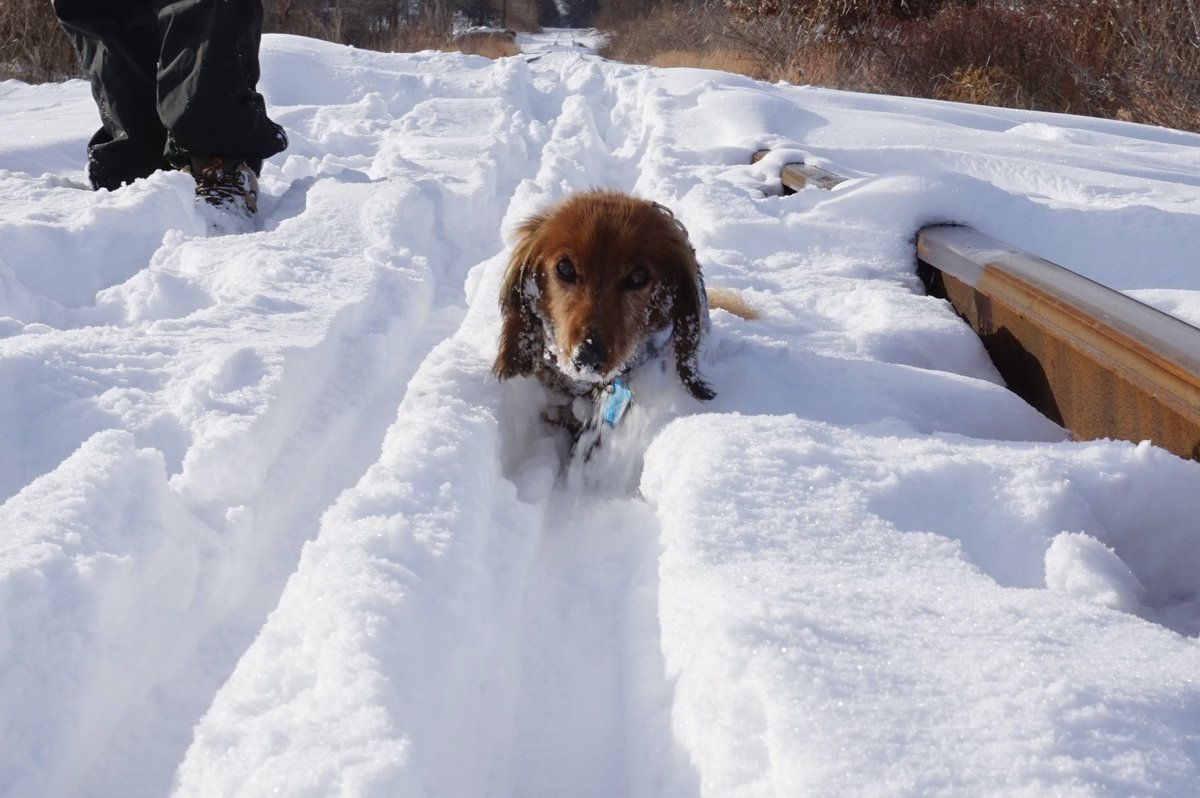 Does this snow make my head look big?