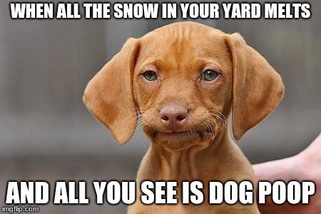 Feels great outside, the sun is shining, but you know it’s coming....
#dogslovelawns #naturalgrass #michiganweather #sodwillfixit