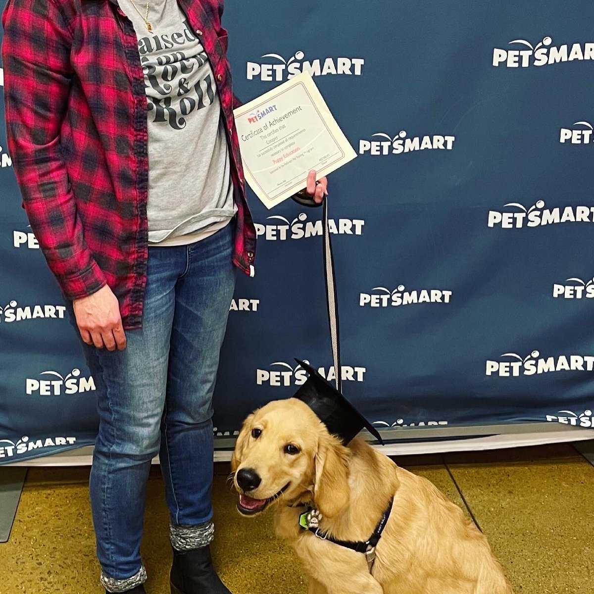 PetSmart2384's tweet photo. A Happy New graduate from training class @PetSmart2384 in #AshlandKY. 🐾❤️ #petsmarttraining #k9training #petsmart #petsmartroanoke https://t.co/tjTxptT3O1