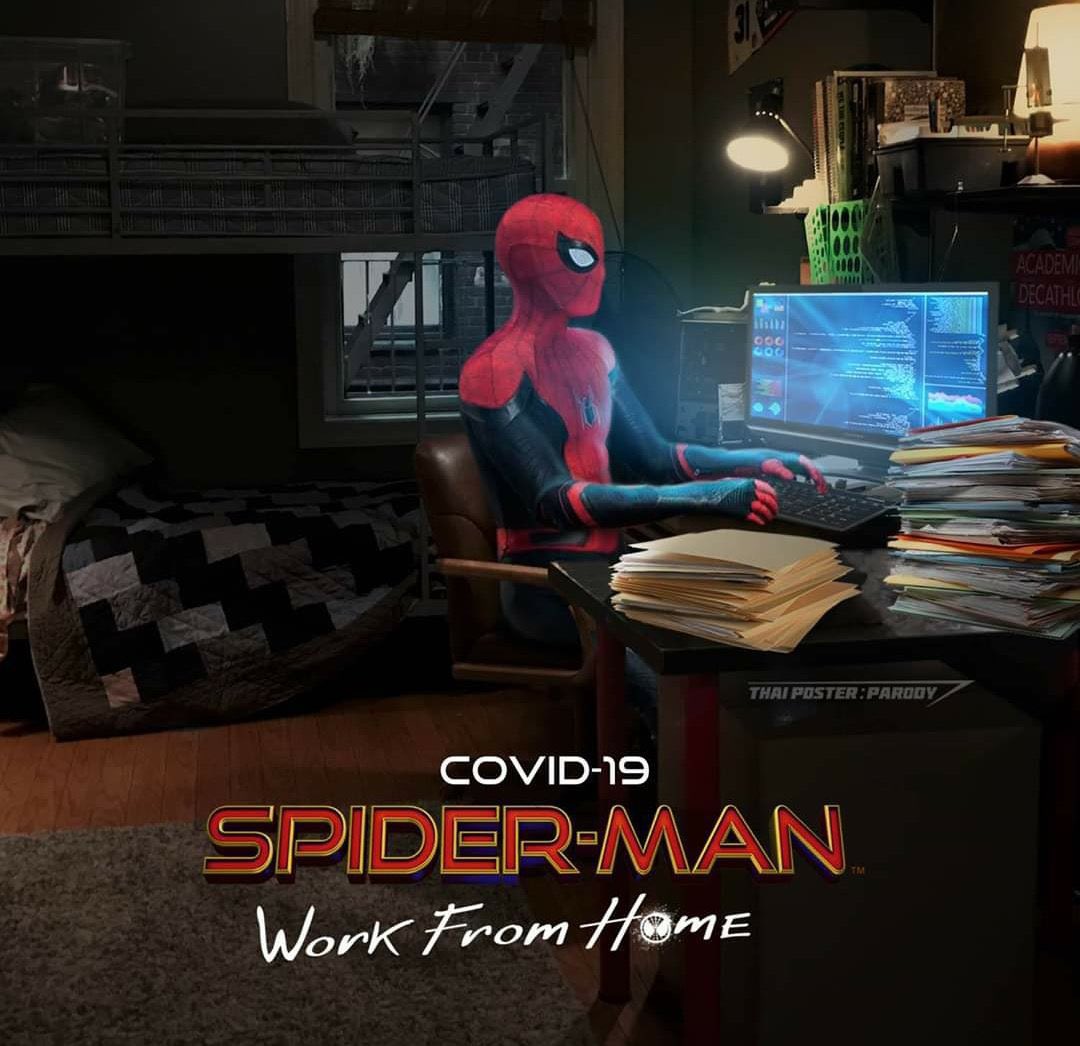 its_menieb's tweet photo. @SpiderManMovie @Nibellion This would’ve been a better title https://t.co/E1paHSxTGn
