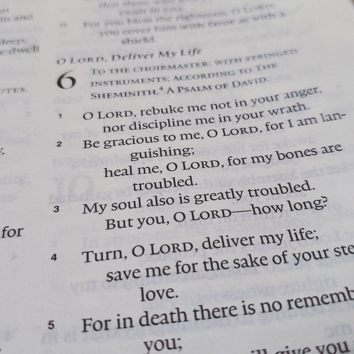 HazelEyedMuse's tweet photo. Psalm 6 was a real help today 🥰 So tonight let's keep going with Assassin's Creed: Odyssey! We're so close, I can feel it! 7 pm CST on https://t.co/nRfXYssV71 ☺

#twitch #twitchstreamer #twitchgirls #gamergirl  #twitchstreaming #twitchgaming #twitchgamer  #assassinscreedodyssey https://t.co/NYMjRURD1r