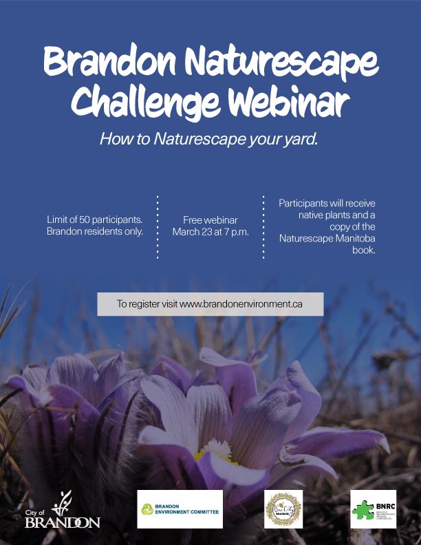 MBClimateRN's tweet photo. Join the @BdnEnviroCom on March 23rd for a FREE webinar: “How to #Naturescape your yard”.

@CityBrandon https://t.co/A4OydmbESB