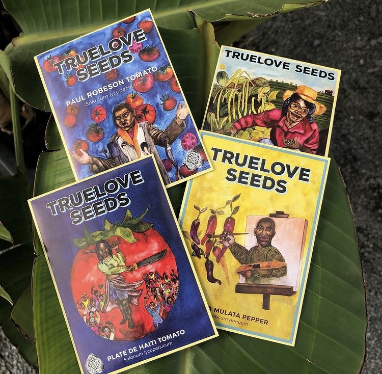 Photos and content reposted with love from 
@Seedkeeping - Art by Jasmine Hamilton

Keeping SEEDS is an act of TRUELOVE for our ANCESTORS and our collective FUTURE! ~ 
<a href="/TrueLoveSeeds/">Truelove Seeds</a> 

instagram.com/p/CLrrwUNgg7E/…