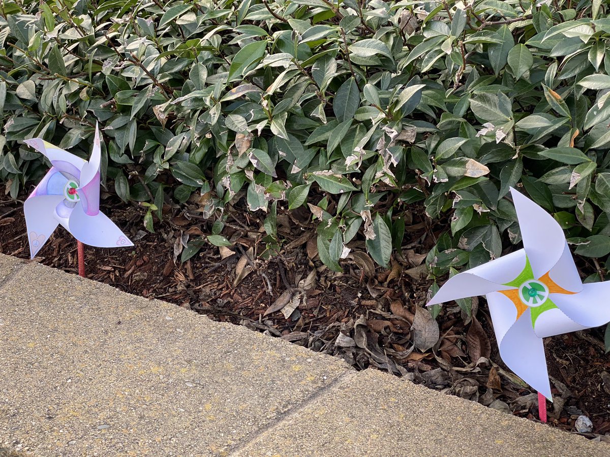 Thank you to Cumberland Daisy and Brownie Troops for reaching out about planting your “Pinwheels 4 Peace” in front of our school for our neighborhood to enjoy! <a href="/SunnyvaleSD/">SunnyvaleSD</a>