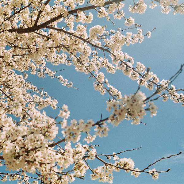 Hotel_HiNaples's tweet photo. Hello Spring! Save 20% off our Best Flexible Rate when you book with'Book Now, Pay Later'.Members save more. Terms Apply*
Book by 1 March, 2021 : https://t.co/PJv1UgMBeV‍🌷🌼
.
.
.
#ihg #holidayinn #holidayinnnaples #LifeAtIHG #AnIHGHotel  #naples #napoli #business #leisure https://t.co/Gd8ZytRbd6