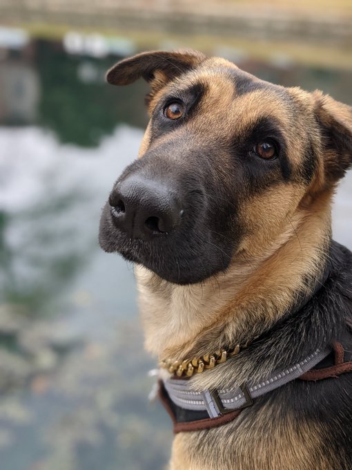 Watch rai's leaked NSFW photo on TwXstars