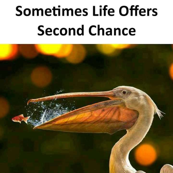 PrettyMeyson's tweet image. Never give up!