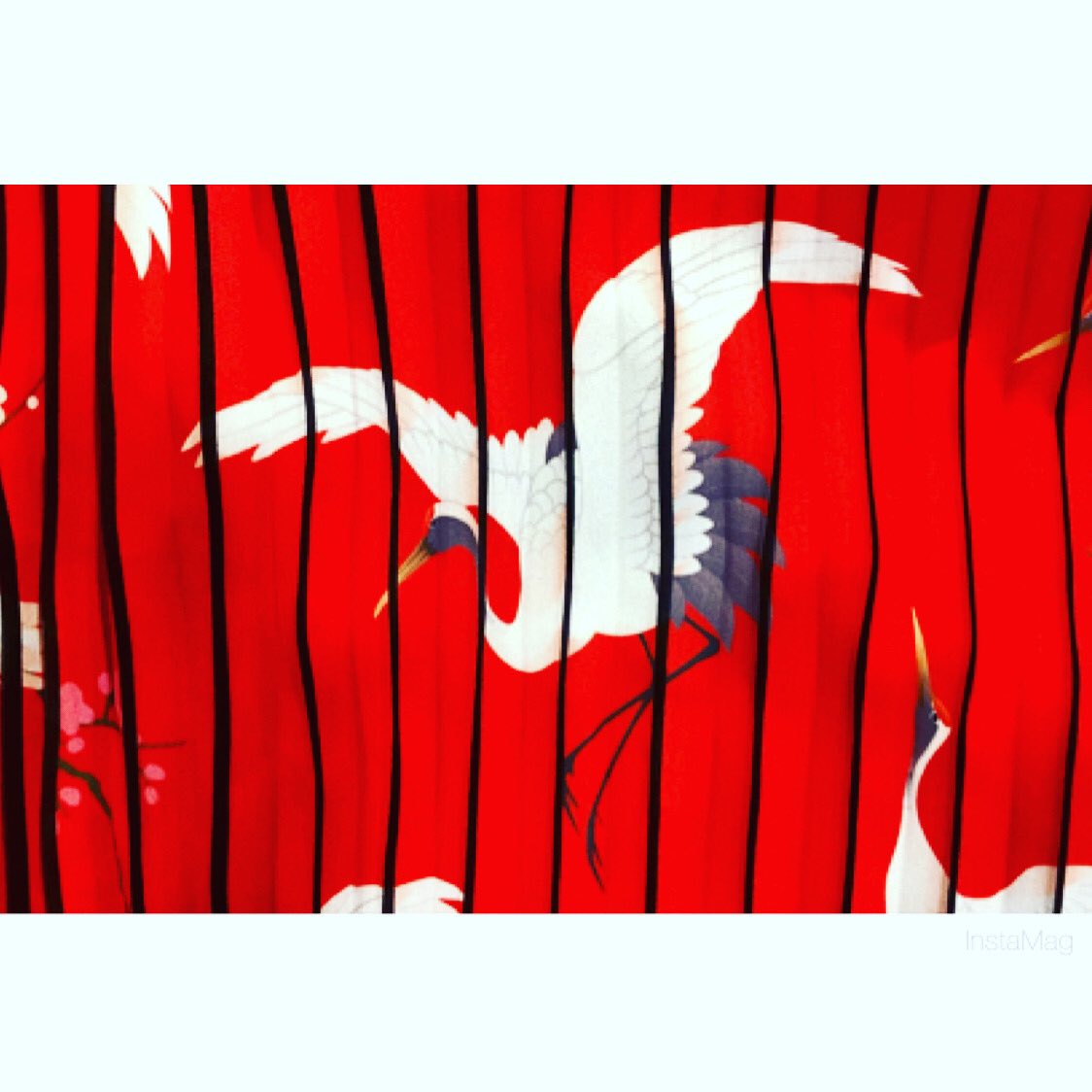 WHYBPOSH's tweet photo. Pleated Crane Midi Skirt.

“A bird does bot sing because it has an answer, it sings because it has a song.” - Maya Angelou

#red #dcfashion #dmv https://t.co/0sEMgg8vDF