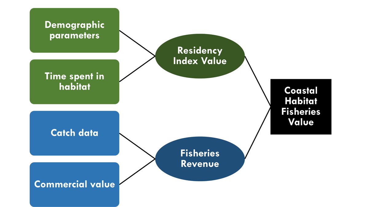 Hannah McCormick tweet media