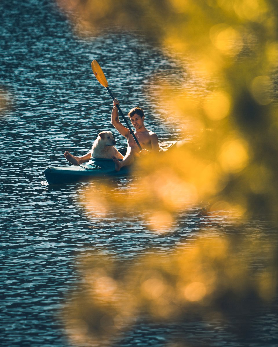 Flightnook tweet media