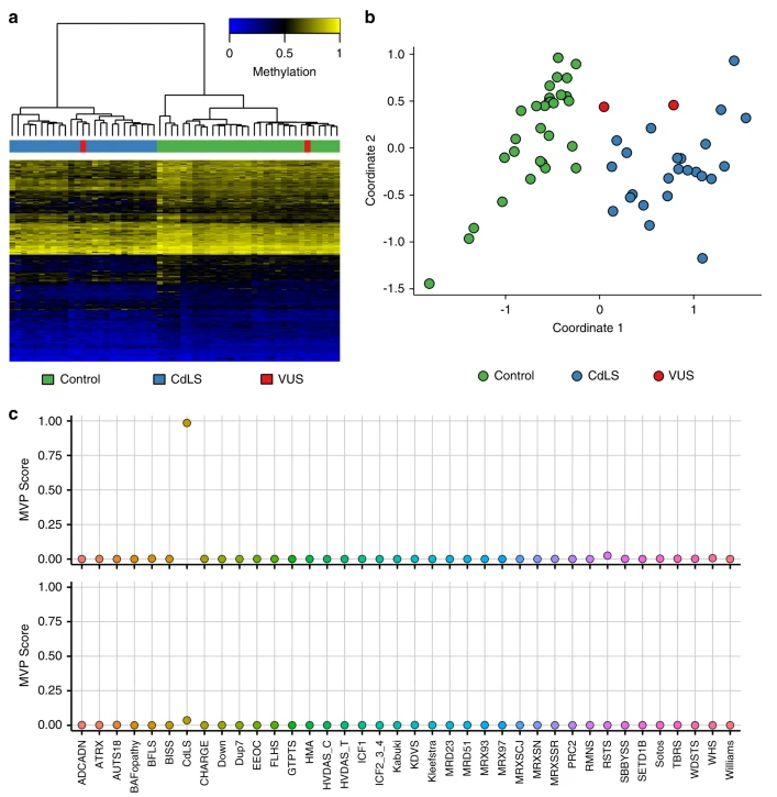 BlogClinical's tweet image. Clinical epigenomics: genome-wide DNA methylation analysis for the diagnosis of Mendelian disorders - #epigenetics #rarediseases clinicalbioinfo.com/2021/02/clinic…