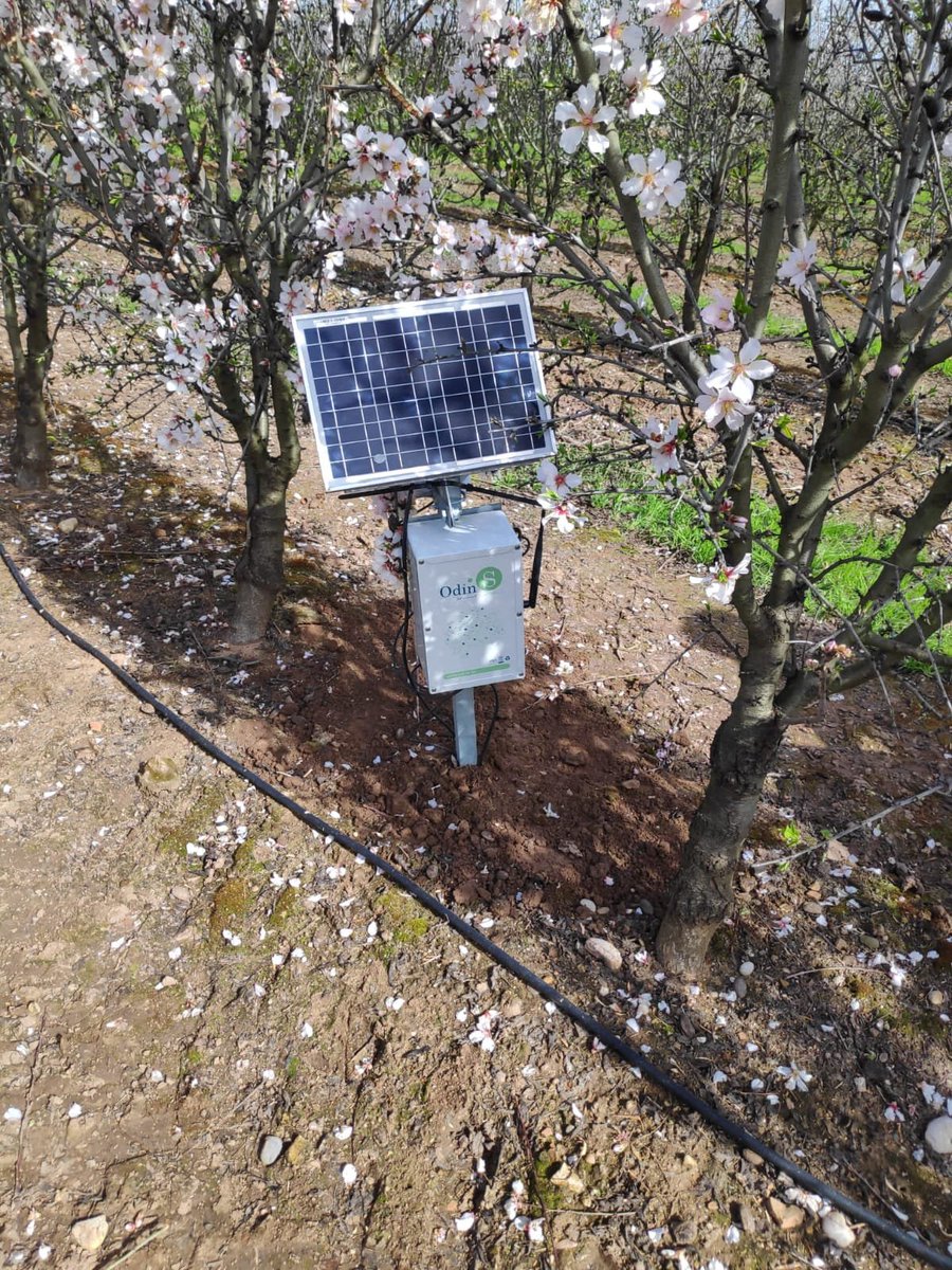 IgnacioLorite's tweet photo. Desde @IfapaJunta @AgriculturAnd avanzamos en el empleo de sensores de última generación con tecnología #FIWARE en olivar y almendro dentro del acuerdo de colaboración entre @IfapaJunta y @FIWAREZone. https://t.co/sIk6xvcmJc