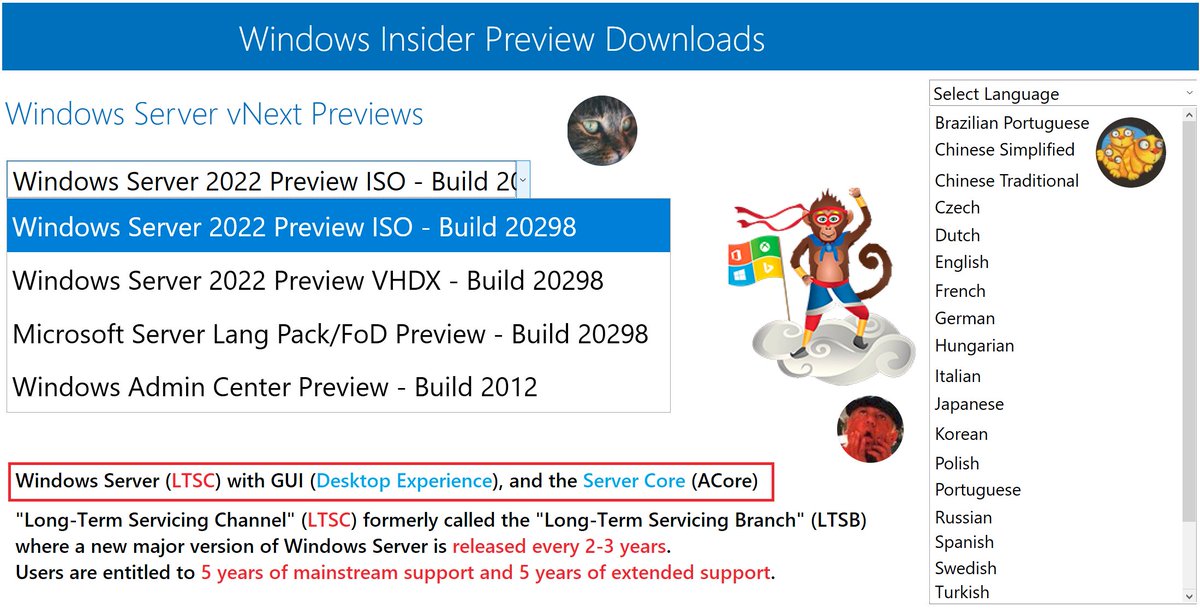 🔮WZor👁️ on Twitter: "😽📢Hi!,🤪#WindowsInsiders and🐈#NinjaCat's!, NEW #ISO