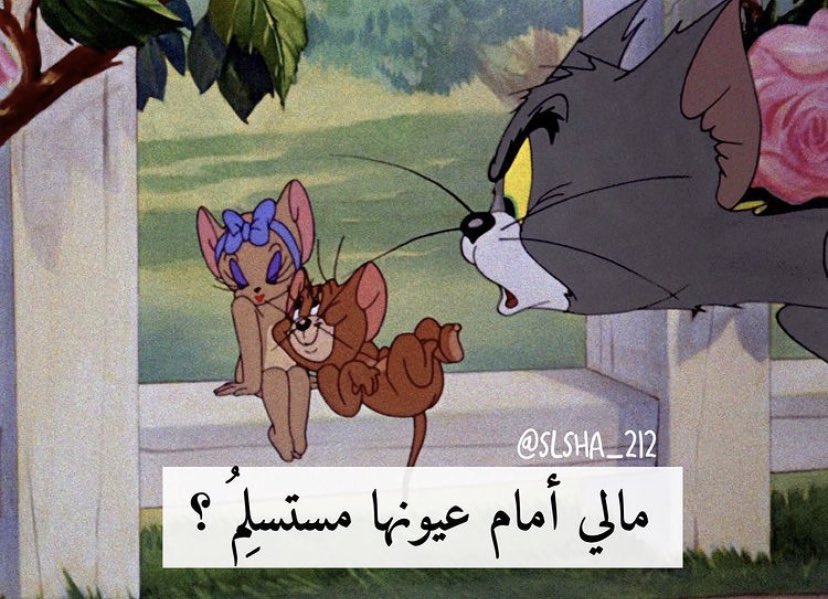 رياكشنات توم وجيري tweet media