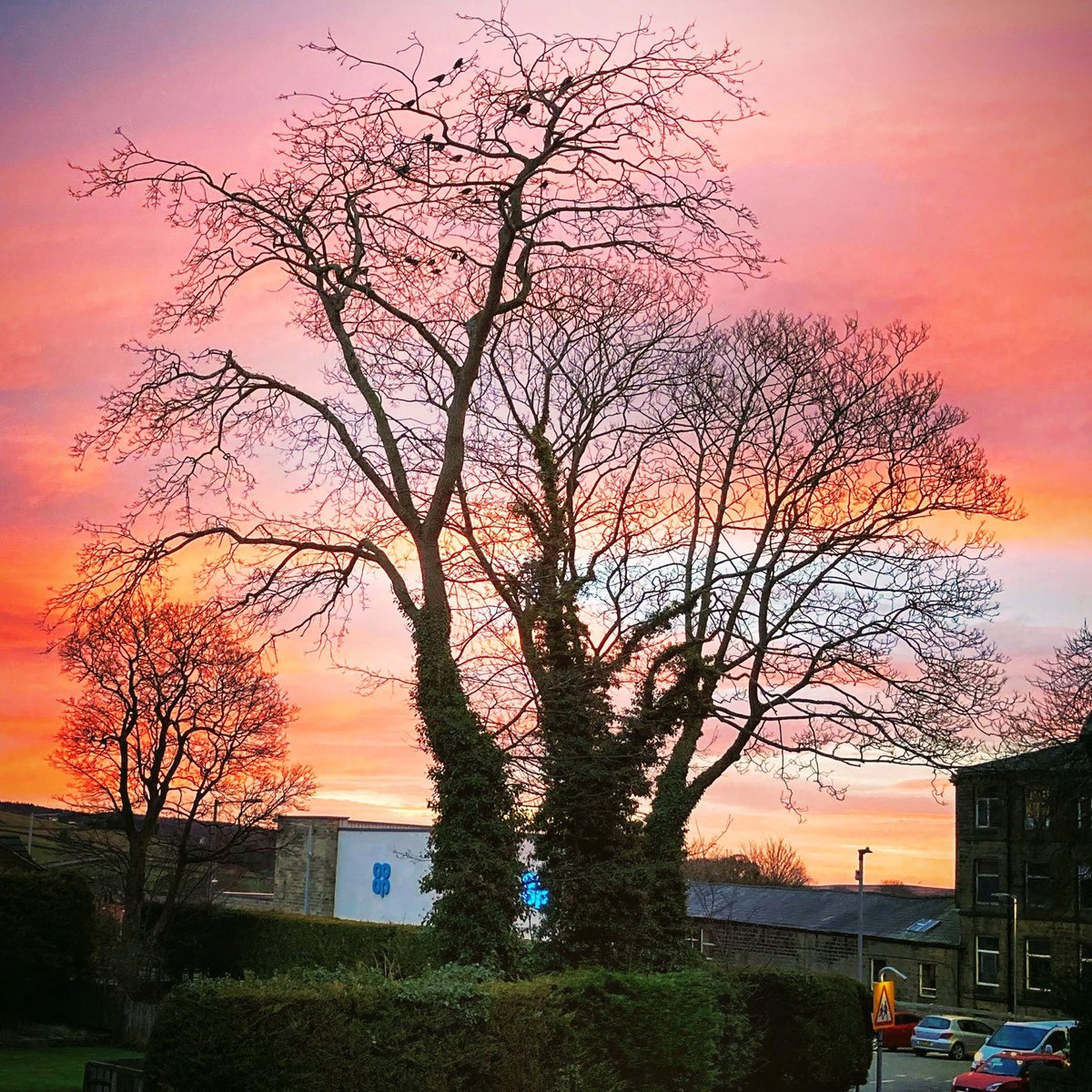 New dawn #cullingworth